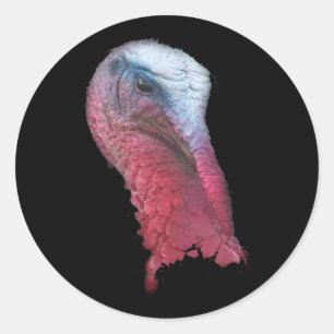 Wild Turkey Head Classic Round Sticker
