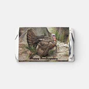 Wild Turkey Hershey's Miniatures