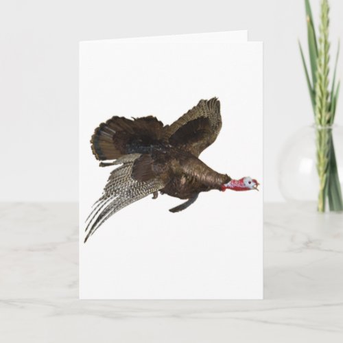 Wild Turkey Hunting Card
