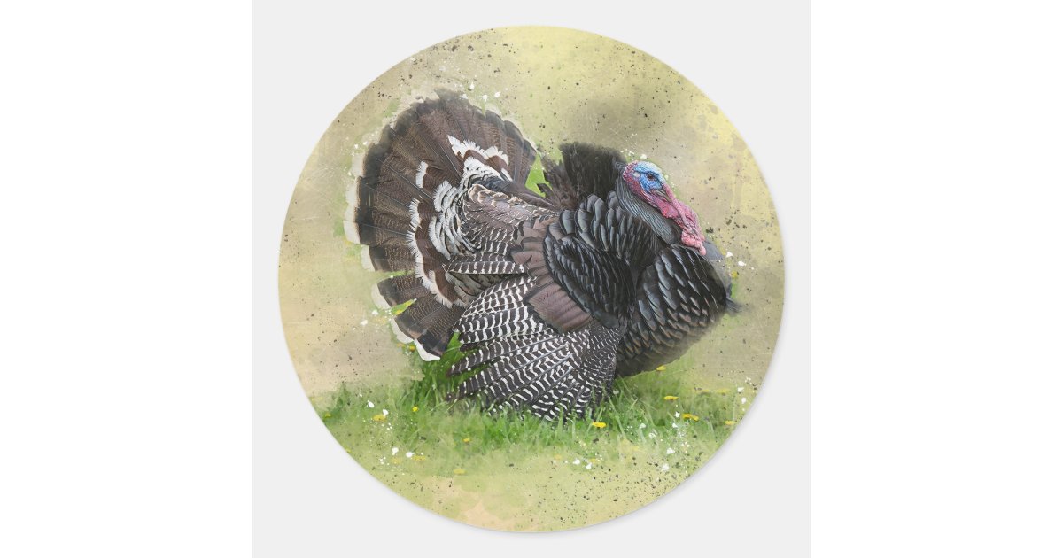 Wild Turkey in Floral Field Classic Round Sticker | Zazzle
