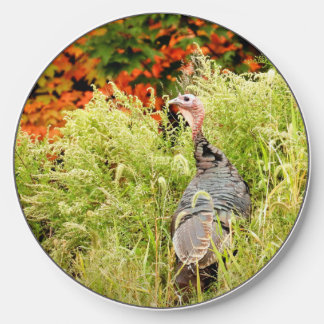 Wild Turkey in Tall Grass In Autumn Wireless Charger