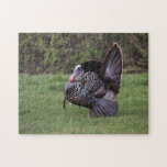 Wild Turkey Jigsaw Puzzle<br><div class="desc">Local Exploration is the name of my blog online (www.local-exploration.com), which combines my love for hiking and wildlife through photography. The photographs used on these products were taken by me from my adventures around the Mid-Hudson Valley in New York and my occasional excursions out of the state.</div>