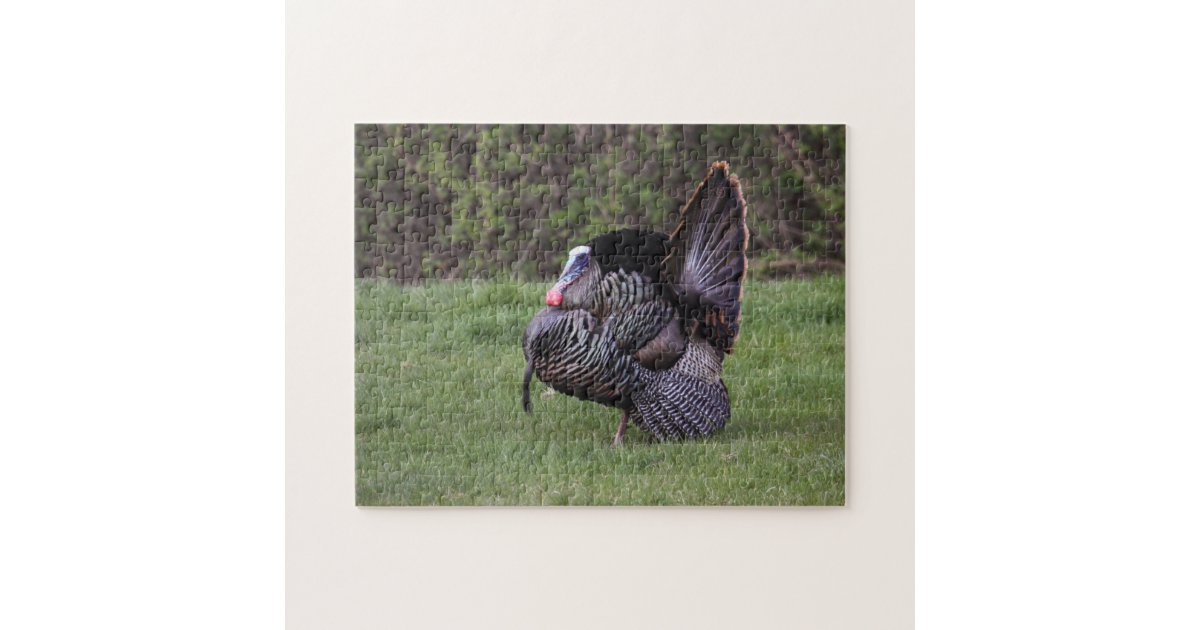 Wild Turkey Jigsaw Puzzle | Zazzle
