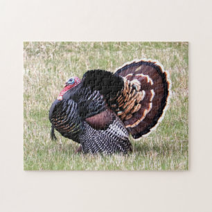 Wild Turkey Jigsaw Puzzle