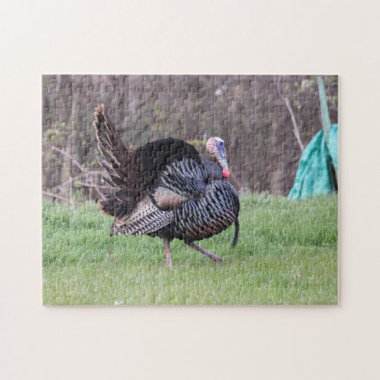 Wild Turkey Jigsaw Puzzle | Zazzle.com