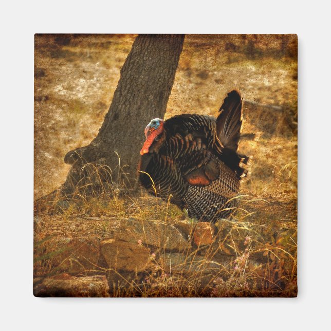 Wild Turkey - Magnet, Refrigerator Magnet (Front)