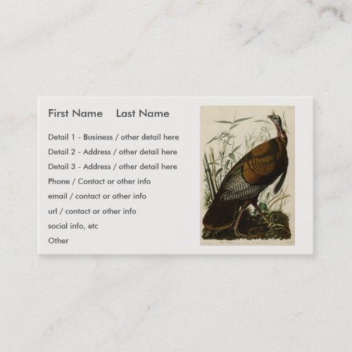 Wild Turkey Male from Audubons Birds of America Business Card