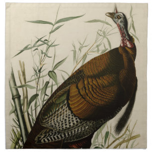 Wild Turkey (Male) from Audubon's Birds of America Cloth Napkin