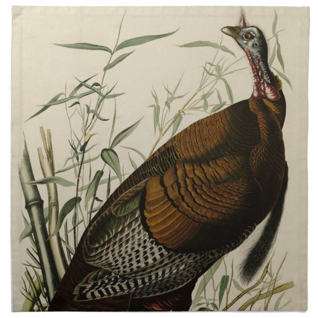 Wild Turkey (Male) from Audubon's Birds of America Cloth Napkin (Front)