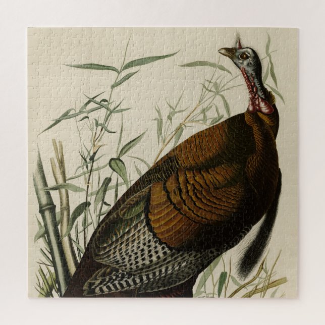 Wild Turkey (Male) from Audubon's Birds of America Jigsaw Puzzle (Vertical)