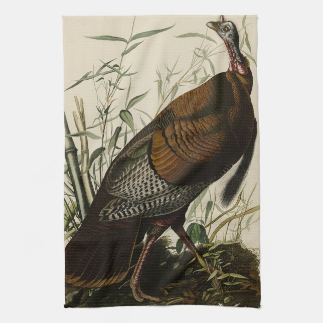 Wild Turkey (Male) from Audubon's Birds of America Kitchen Towel (Vertical)