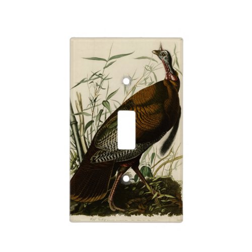 Wild Turkey Male from Audubons Birds of America Light Switch Cover