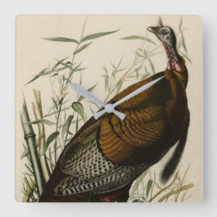 Wild Turkey (Male) from Audubon's Birds of America Square Wall Clock