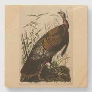 Wild Turkey (Male) from Audubon's Birds of America Stone Coaster