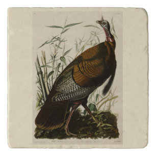 Wild Turkey (Male) from Audubon's Birds of America Trivet