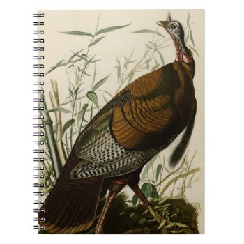 Wild Turkey Notebook by birdpictures at Zazzle