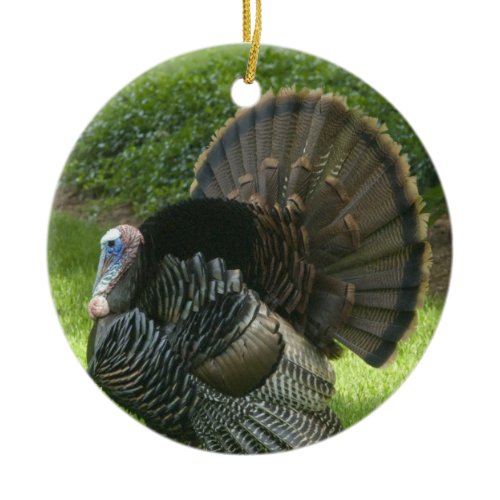 Wild Turkey Ornament