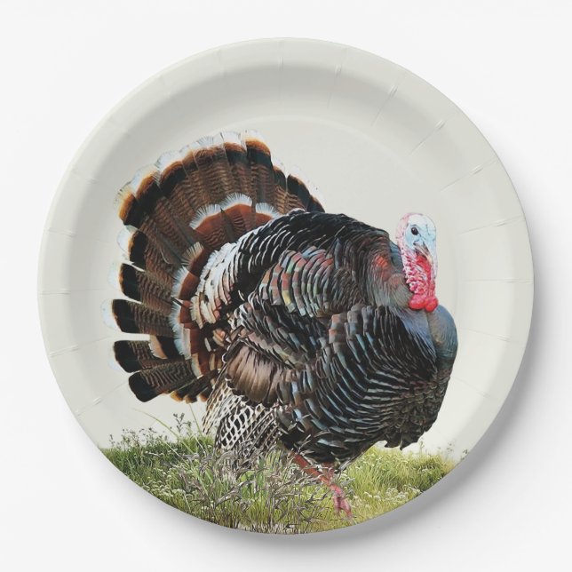 Wild turkey paper plates (Front)