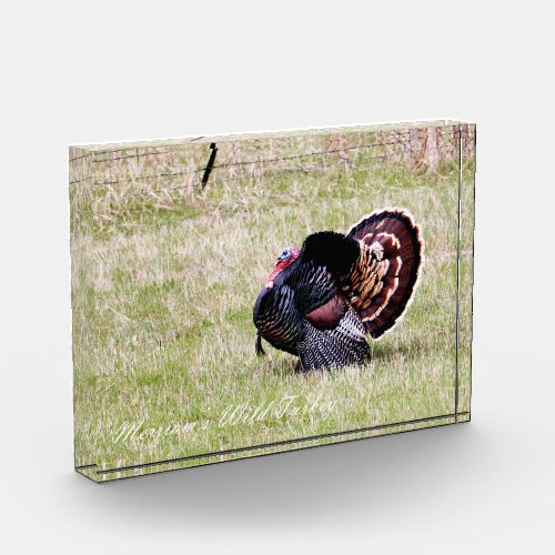Wild Turkey Photo Block