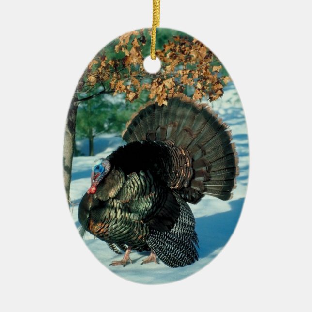 Wild Turkey Photo Holiday Decorations Christmas (Front)