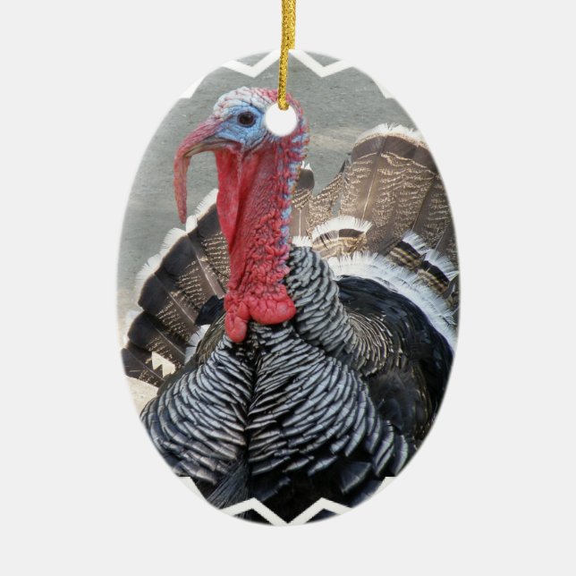 Wild Turkey Picture Ornament (Front)
