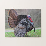 Wild Turkey Portrait Jigsaw Puzzle at Zazzle