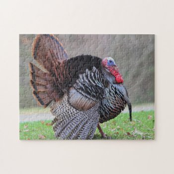 Wild Turkey Portrait Jigsaw Puzzle by backyardwonders at Zazzle