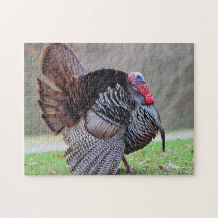 Wild Turkey Portrait Jigsaw Puzzle