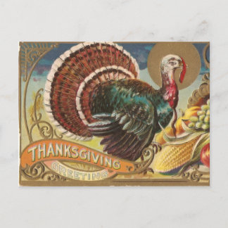 Wild Turkey Postcard