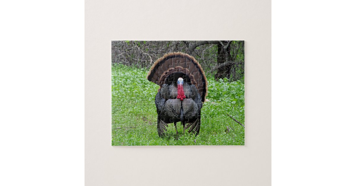 Wild Turkey Puzzle Zazzle