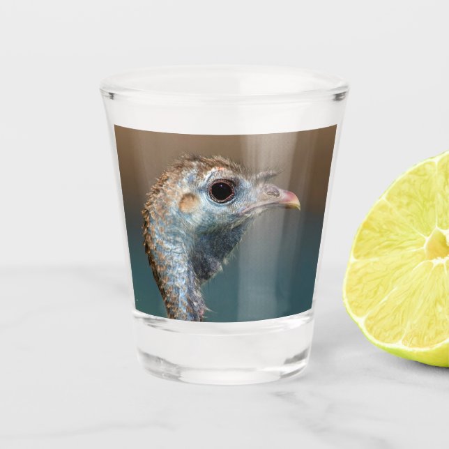 Wild Turkey Shot Glass (Front)