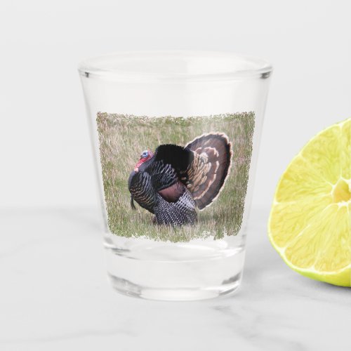 Wild Turkey Shot Glass