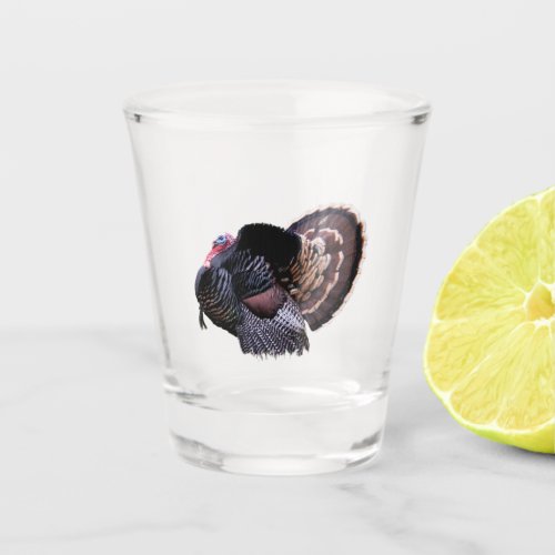 Wild Turkey Shot Glass