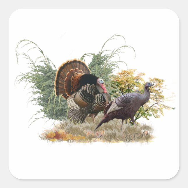 Wild turkey   square sticker (Front)