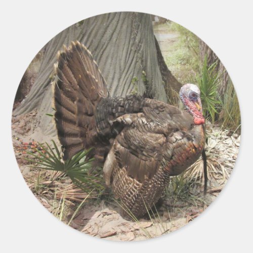 Wild Turkey Stickers