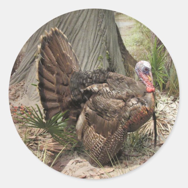 Wild Turkey Stickers (Front)
