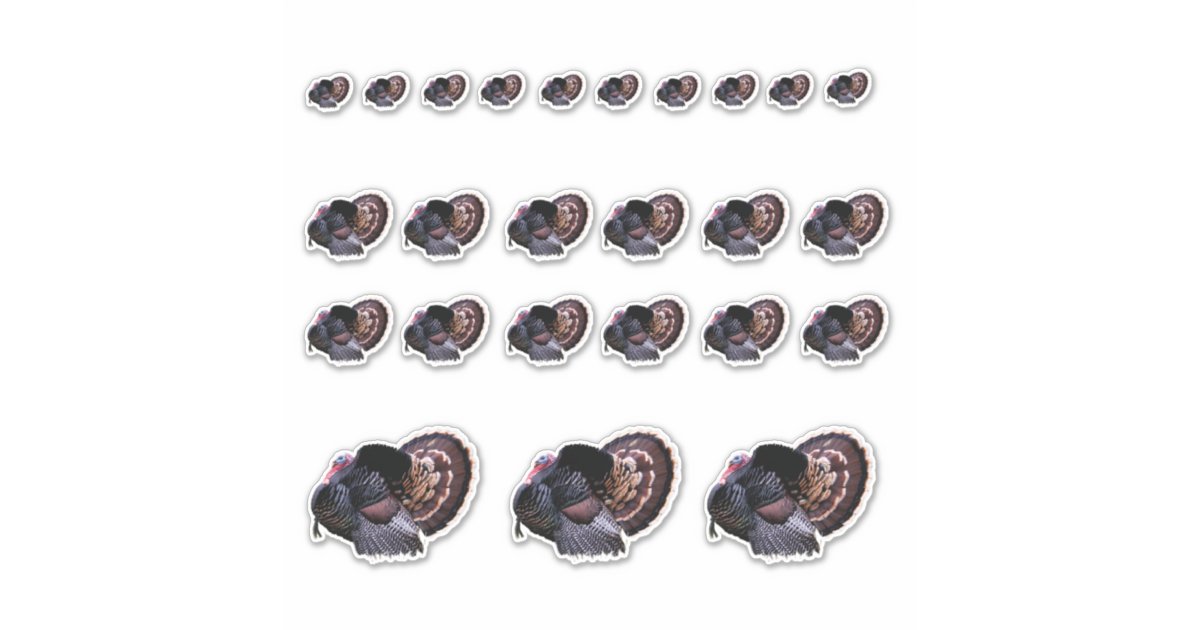Wild Turkey Stickers | Zazzle