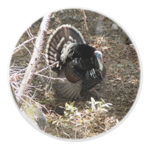 Wild Turkey Strutting for the Ladies Ceramic Knob