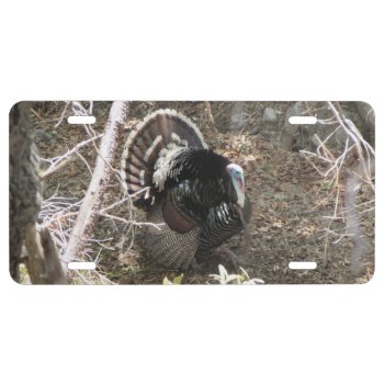 Wild Turkey Strutting For The Ladies License Plate by ingasi at Zazzle
