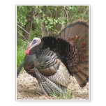 Wild Turkey Temporary Tattoos