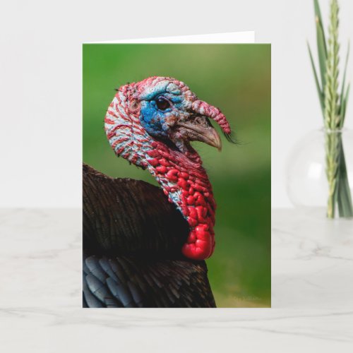 Wild Turkey Thank You Card
