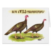 Wild Turkey Thanksgiving (Front Horizontal)