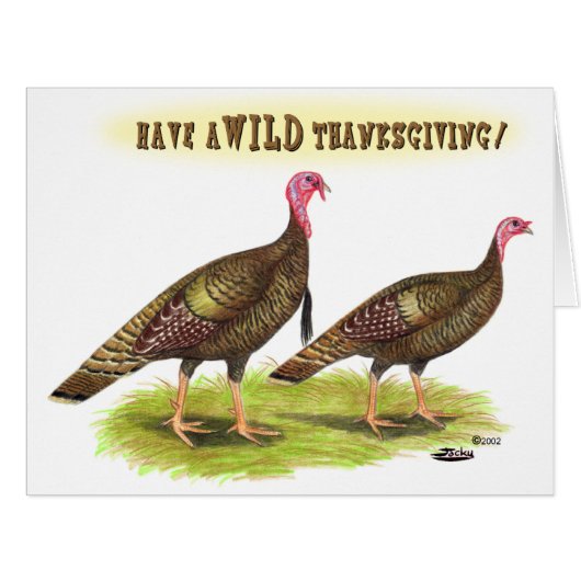 Wild Turkey Thanksgiving (Front Horizontal)