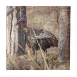 Wild Turkey Tile<br><div class="desc">Local Exploration is the name of my blog online (www.local-exploration.com), which combines my love for hiking and wildlife through photography. The photographs used on these products were taken by me from my adventures around the Mid-Hudson Valley in New York and my occasional excursions out of the state.</div>