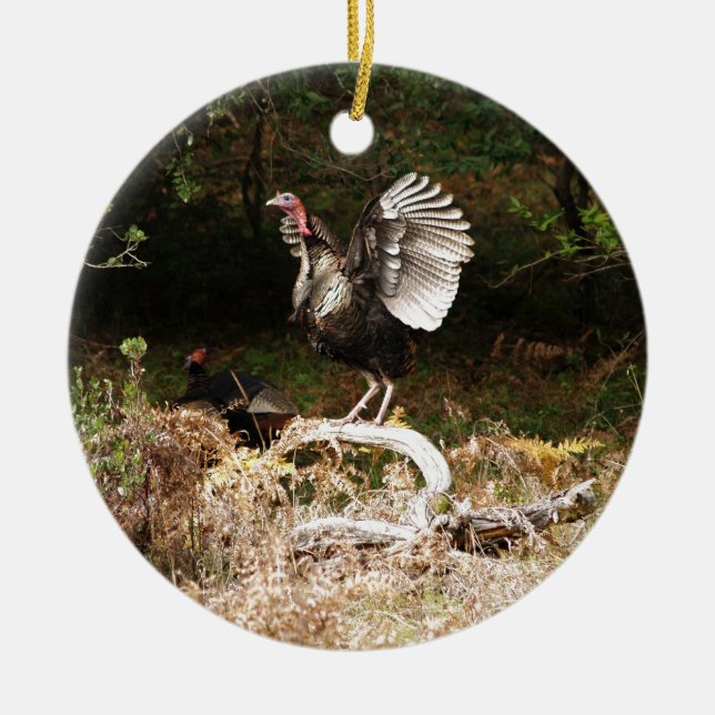 Wild Turkeys Ceramic Ornament (Front)