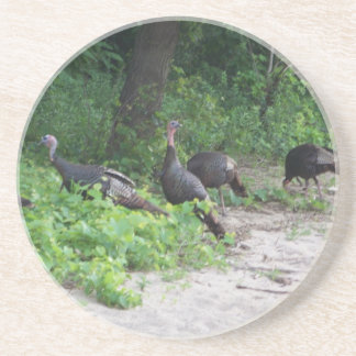 Wild Turkeys Drink Coaster