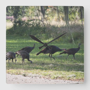 Wild Turkeys in the Grass Photo Square Wall Clock