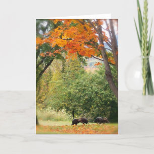 Wild Turkeys in Vermont Card