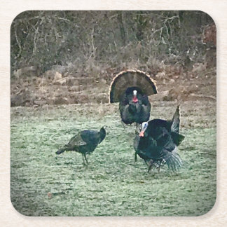 Wild turkeys paper coaster