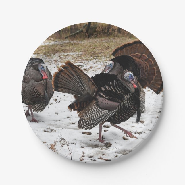 Wild Turkeys Strutting Their Stuff Paper Plates (Front)